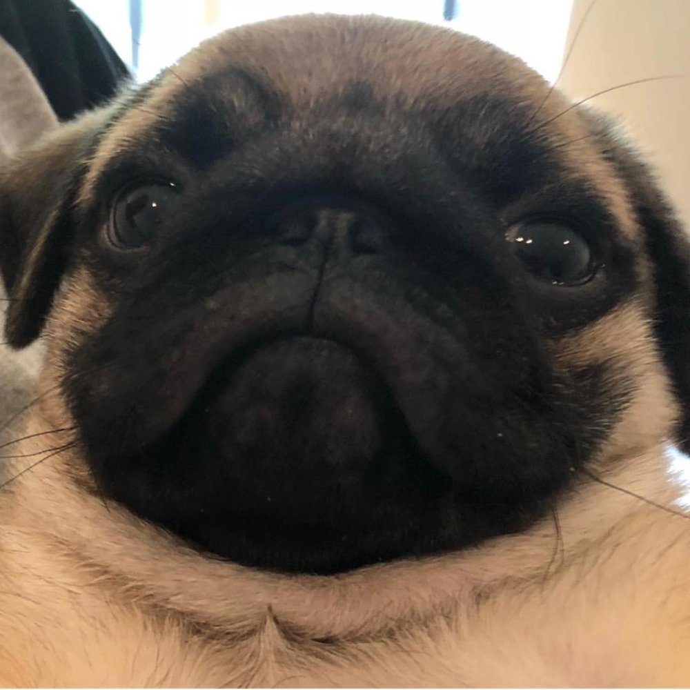 Meet your Posher, Mariza